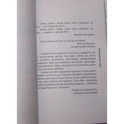 Бернар Вербер: Завтрашний день кошки: Количество страниц 336