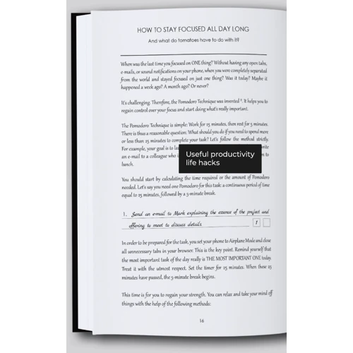 Дневник BeriDari Productivity Journal English (38892) фото 4