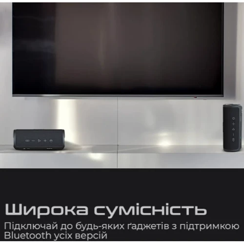 Акустика HiFuture Ripple 30W Black (ripple.black): Подключение проводное, беспроводное