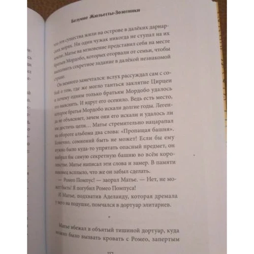 Кристоф Мори: Матье Идальф и Заклятие ежевики: Обложка Мягкая