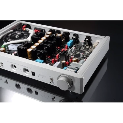 Questyle CMA800i: Вид Стационарный