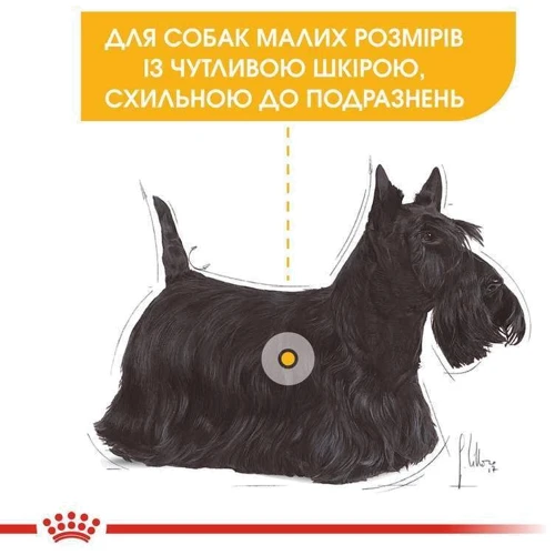 Сухой корм Royal Canin Mini Dermacomfort для собак с чувствительной кожей, склонной к раздражениям 1 кг (2441010): Вес упаковки 1 кг