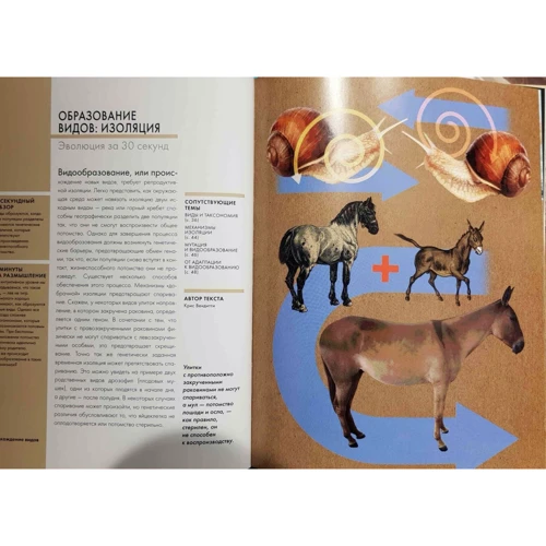 Эволюция за 30 секунд: ISBN 978-5-386-10335-4