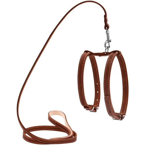 Шлея с поводком Collar для мелких собак, 14мм, 122см, коричневый
