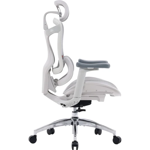 Офисное кресло Sihoo DORO C300L Mesh White (DORO-C300L-A3-102)