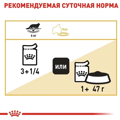 Влажный корм для котов Royal CanIn Maine Coon породы Мейн-кун 85 г (2031001): Вес упаковки 85 г
