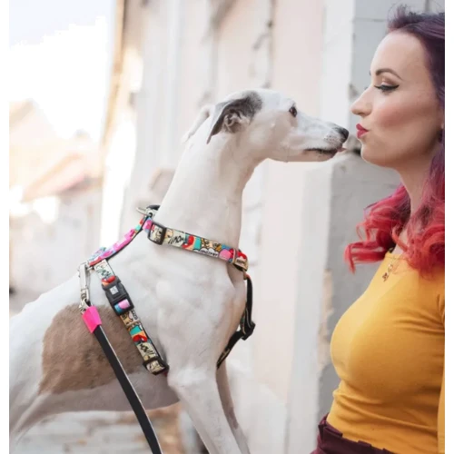 Шлейки для собак Max & Molly H-Harness - Missy Pop S (4894512020894) фото 2