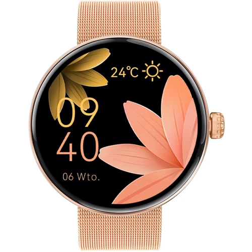 Смарт-часы Forever Forevive 5 SB-365 Rose Gold + ремешок: Емкость батареи, мАч 250
