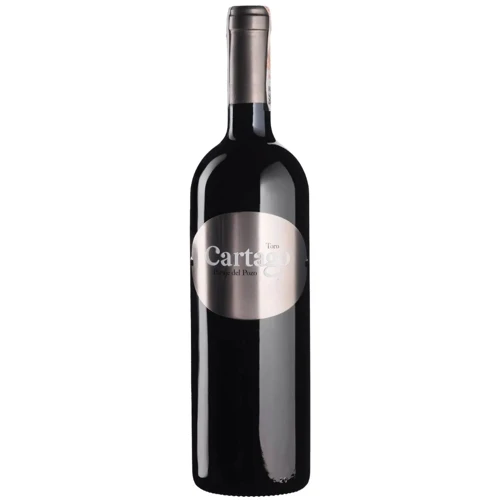 Вино San Roman Bodegas y Vinedos Cartago 2017 червоне сухе 0.75л (BWR3893)