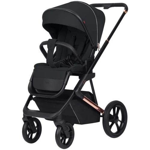 Коляска универсальная Carrello Sigma 2 в 1 Obsidian Black (CRL-6509 Obsidian Black NF): Пол ребенка Унисекс
