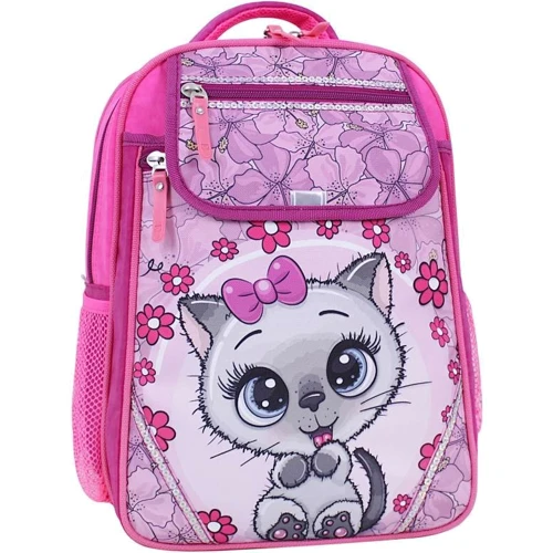 Рюкзак школьный Bagland Отличник 20 л. 143 малина 684 (0058070)
