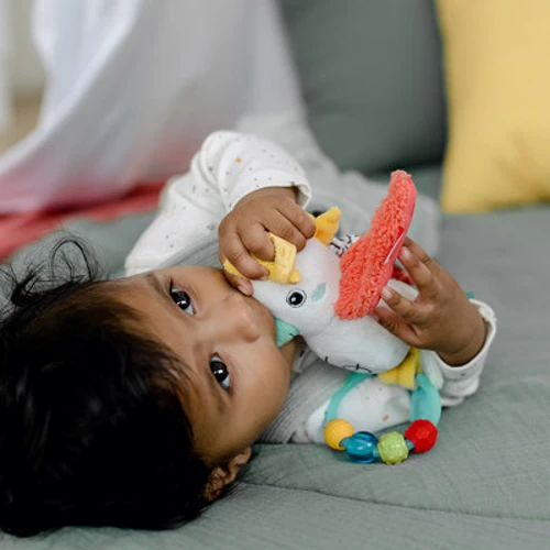 Погремушка-подвеска Fehn Попугай (4001998049060)