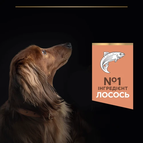 Сухой корм для собак Purina ProPlan Small&Min с чувствительной кожей с лососем 700г (12272469): Свойства Гипоаллергенный