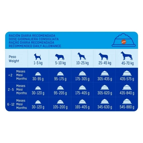 Сухий корм Brekkies Dog Junior для молодих собак з куркою 20 кг (8410650862705): Тип Сухий корм