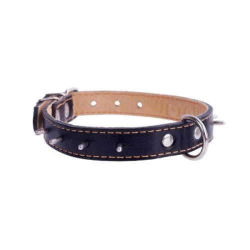 Ошейник Collar двойной с шипами (ш 45мм, д 56-68см) черный
