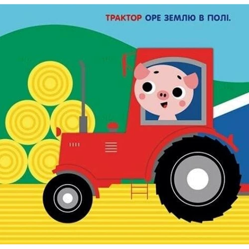 Олена Пуляєва: Чарівні перетворення. Земля: Кількість сторінок 20