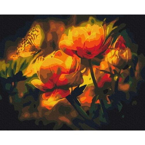 Картина по номерам Brushme Цветочный контраст 40x50 см (BS22025)
