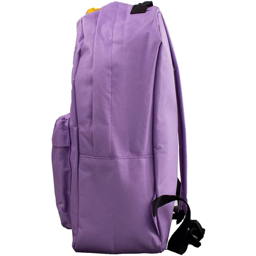 Дитячий рюкзак VALIRIA FASHION DETAV 2505-7: Стать дівчинка