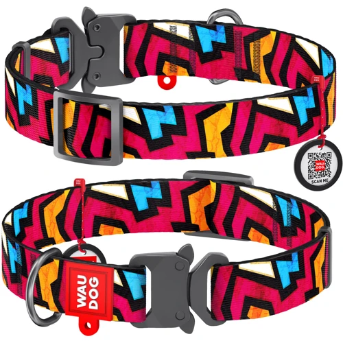 Ошейник WAUDOG Nylon с QR-паспортом, рисунок "Граффити", металлическая пряжка-фастекс 25 мм 31-49 см разноцветный (5117)
