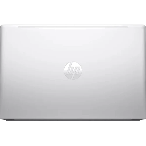 Ноутбук HP ProBook 450 G10 (9E918AT): Оперативная память 8 ГБ