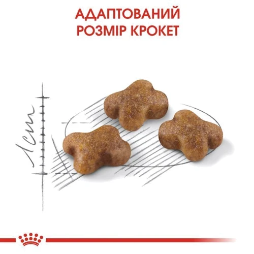 Сухий корм Royal Canin Kitten для кошенят 4 кг (2522040): Основні інгредієнти Курица