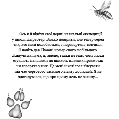 Катя Брандіс: Діти лісу. Книга 3. Таємниця Голлі: Виробник BookChef