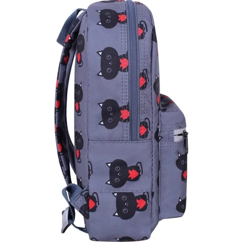 Рюкзак Bagland Молодежный mini 8 л. сублимация 750 (00508664): Пол ребенка Для девочек