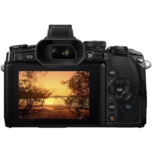 Olympus OM-D E-M1 kit (12-40mm) Black: Тип матрицы CMOS