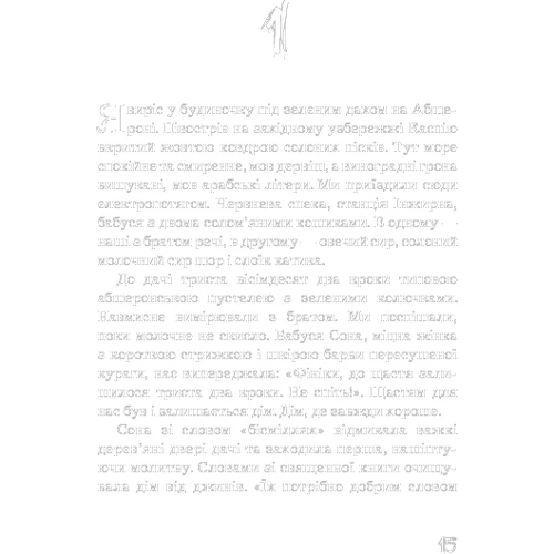 Ельчін Сафарлі: Я хочу додому: Количество страниц 320
