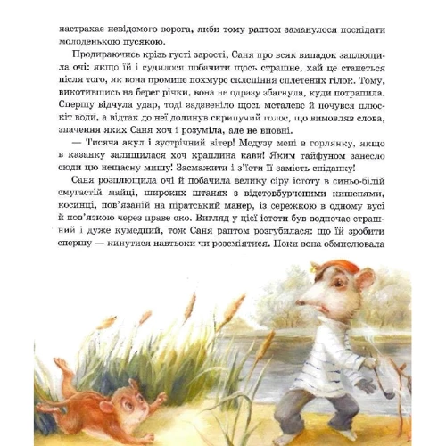 Аша Фредріксон: Пригоди пусяки Сані: Кількість сторінок 176