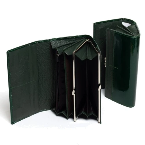 Женский кошелек Sergio Torretti LR темно-зеленый (W1-V-2 dark-green): Страна производитель Турция