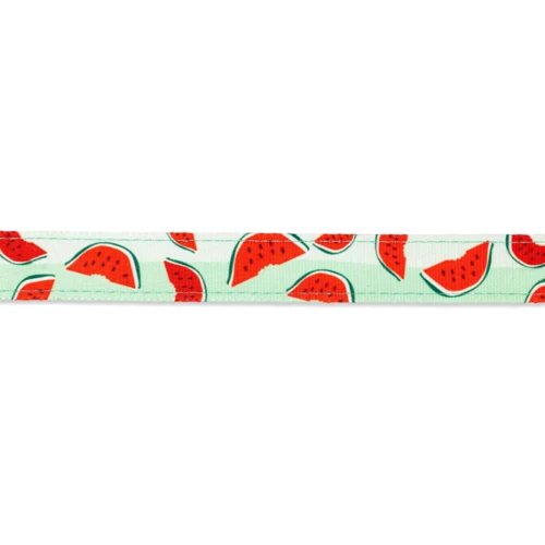 Поводок короткий для собак Max & Molly Short Leash Watermelon S (: Длина 1.2 м
