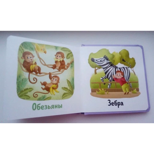 Мои первые слова: ISBN 978-5-00115-238-5