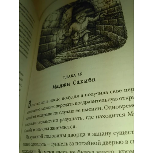 Якоб Вегелиус: Правда о Салли Джонс фото 7