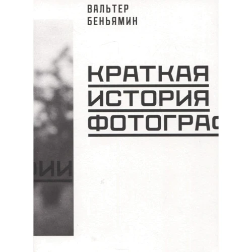 Вальтер Беньямін: Коротка історія фотографії: Виробник Пекло Маргинем Прес
