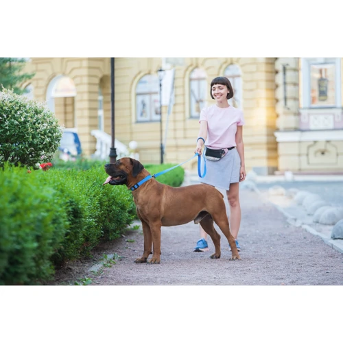 Поводок WAUDOG Waterproof, светящийся 25 мм 122 см голубой (27232) фото 6