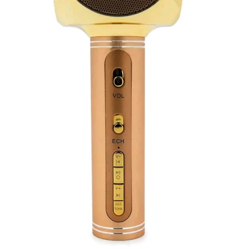 Микрофон Беспроводной караоке микрофон Magic Karaoke YS-63 Gold: Разъем USB