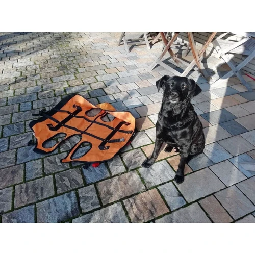 Страхова система для собак Singing Rock Laika (SR W0005YB09)