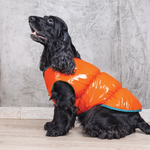 Жилет Pet Fashion SPRING оранжевый M (4823082420483): Длина спины 33-36 см