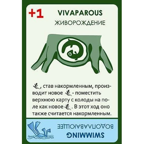 Настольная игра Эволюция. Время летать (Evolution) фото 4