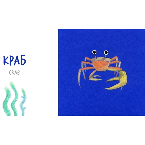 Катерина Таберко: Морські тварини: Автор Катерина Таберко