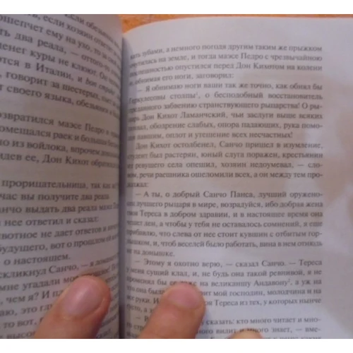 Мигель Сервантес. Дон Кихот (комплект): Обложка Мягкая