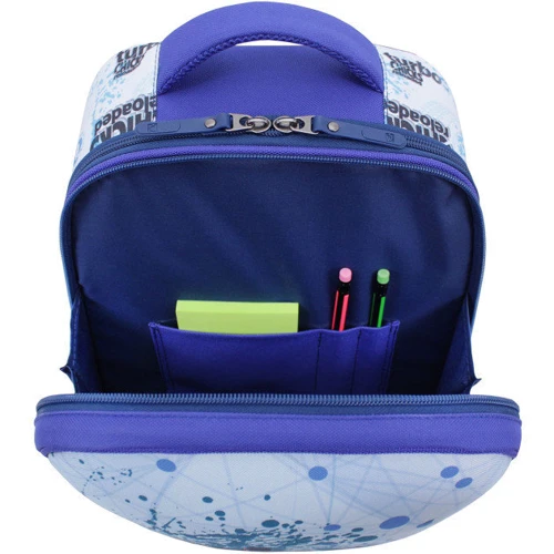 Рюкзак Bagland Turtle 17 л. синий 551 (0013466): Пол ребенка Для мальчиков
