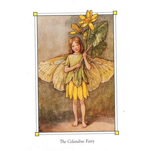 Cicely Mary Barker: Flower Fairies of the Spring: Обложка Твердая