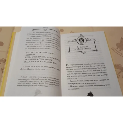 Сэр Стив Стивенсон. Агата Мистери. Книга 12. Таинственная роза Альгамбры: Обложка Твердая