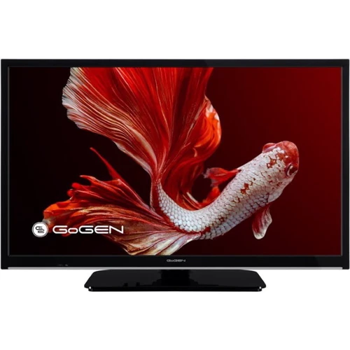 Телевизор GoGEN TVH24P406STC