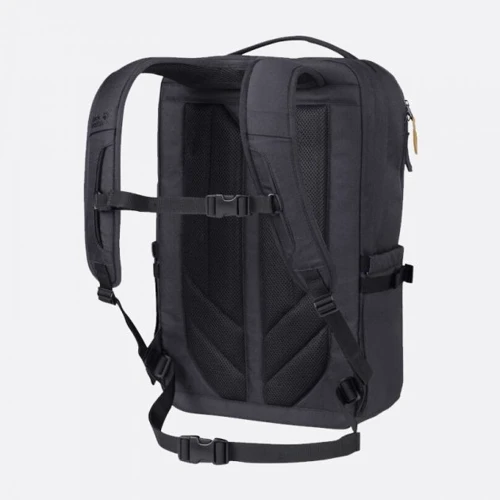 Чоловічий рюкзак Jack Wolfskin Pot De Luxe сірий (2010541_6168): Стать Мужской