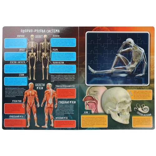 Марія Жученко: Тіло людини