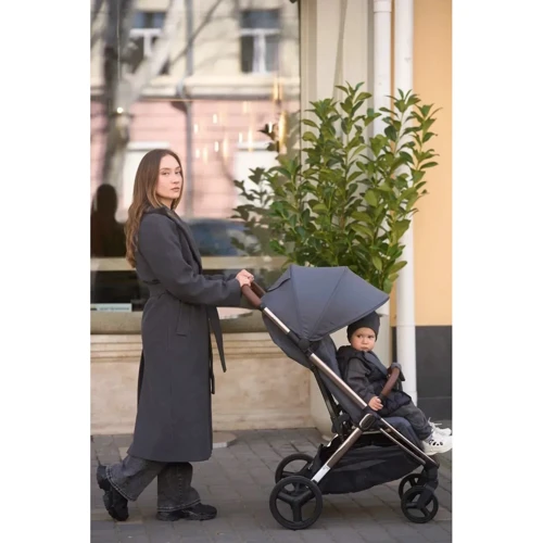 Прогулянкова коляска El Camino Axis ME 1192 Black: Количество блоков 1