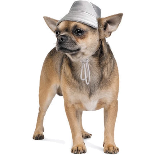 Панама для собак Pet Fashion PARTY зима XS серебристая (4823082423187): Тип Шапки